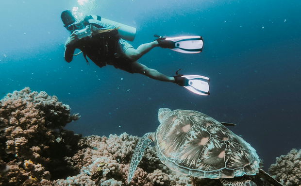 Diving at Sodwana Bay Lodge Diving at Sodwana Bay Lodge