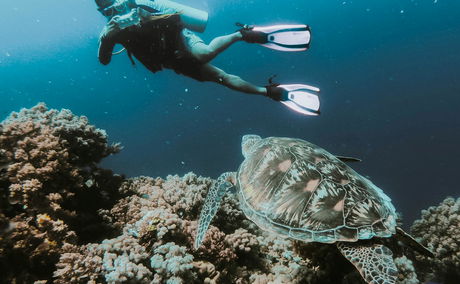 Diving at Sodwana Bay Lodge