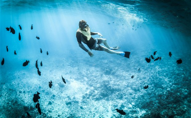 Sodwana Bay Lodge Hotel diving Sodwana Bay Lodge Hotel diving
