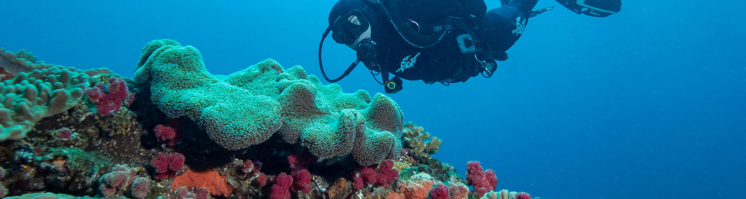 Diving bliss at Sodwana Bay Lodge